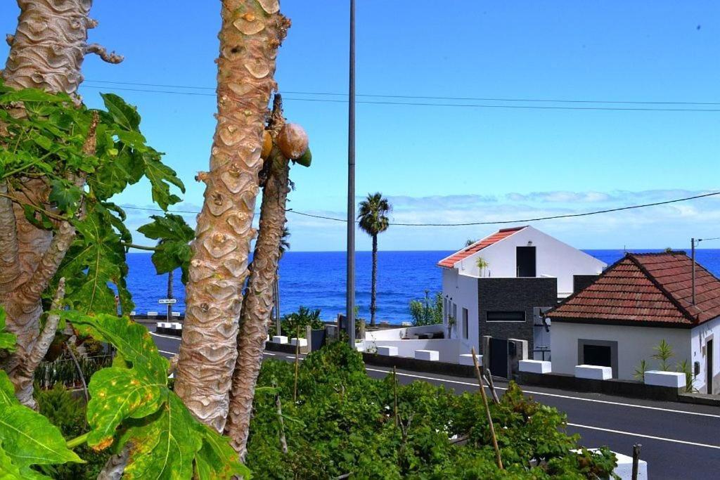 Apartmán Lazy Lizard By The Ocean Seixal  Exteriér fotografie