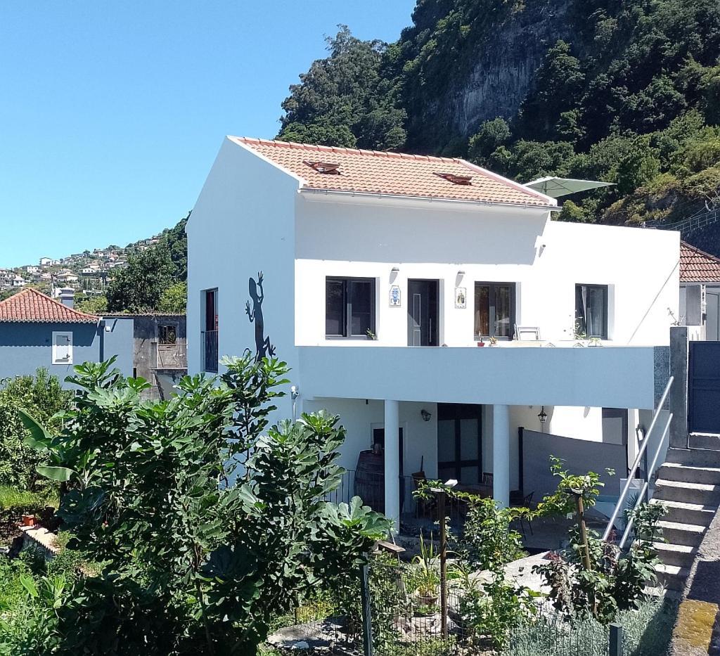 Apartmán Lazy Lizard By The Ocean Seixal  Exteriér fotografie
